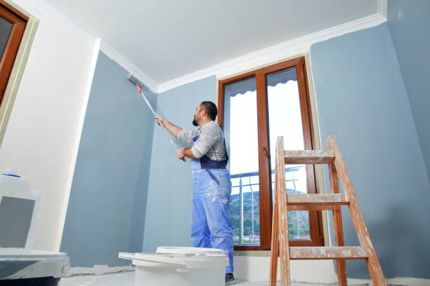 Best Comprehensive Air Testing for Mold Contaminants  in Belleville, WI