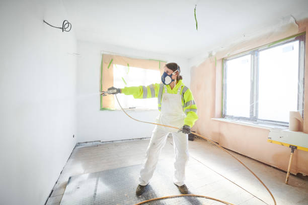  Belleville, WI Mold Removal Pros