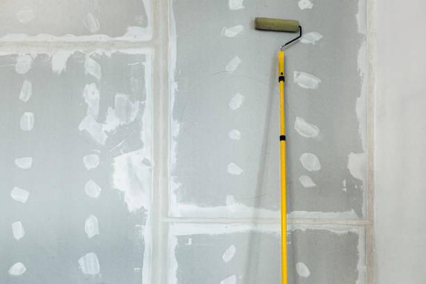 Best Residential Mold Inspection & Testing  in Belleville, WI