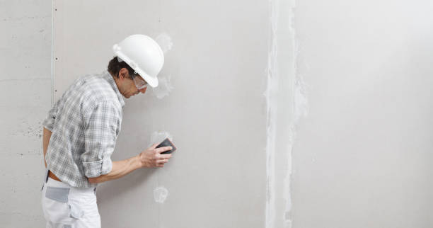 Best Mold Odor Removal Services  in Belleville, WI