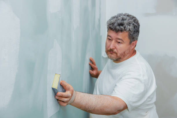Mold Documentation for Insurance Claims in Belleville, WI