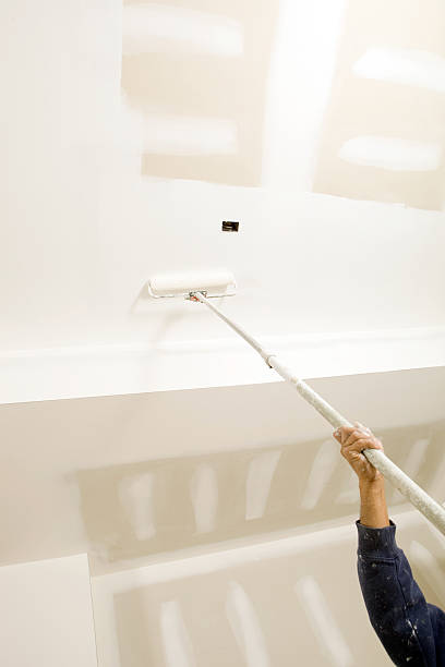 Best Industrial Mold Remediation  in Belleville, WI