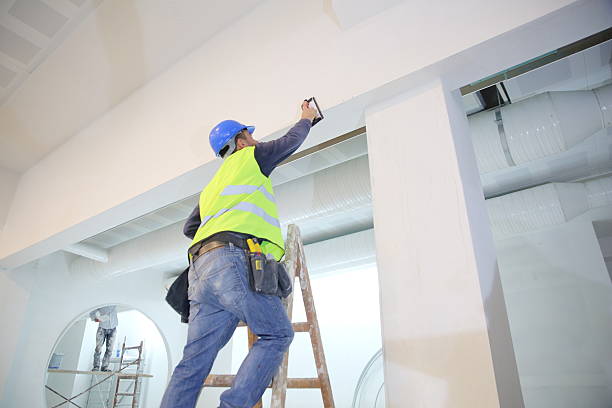 Best Commercial Mold Inspection  in Belleville, WI