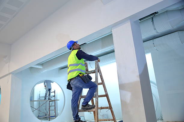 Best Post-Construction Mold Inspection  in Belleville, WI