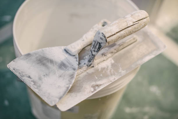 Mold Odor Removal Services in Belleville, WI